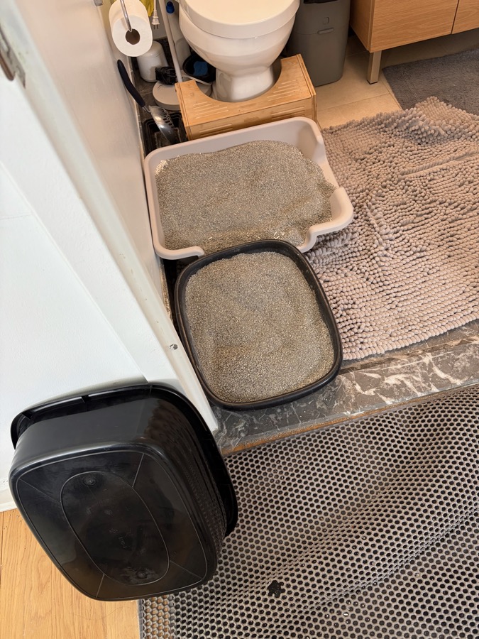 Two low-entry litter boxes side by side