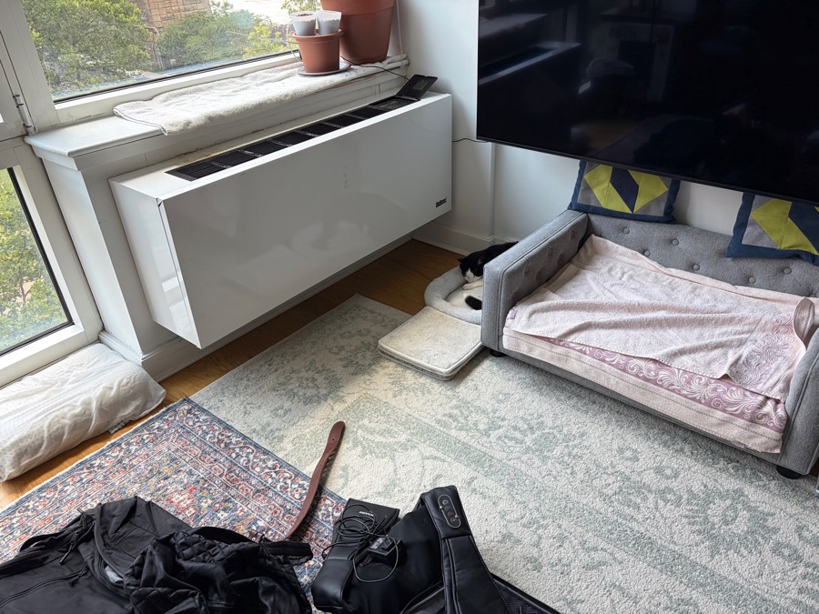 Oreo lying flat on a mat beside an unused bolstered bed