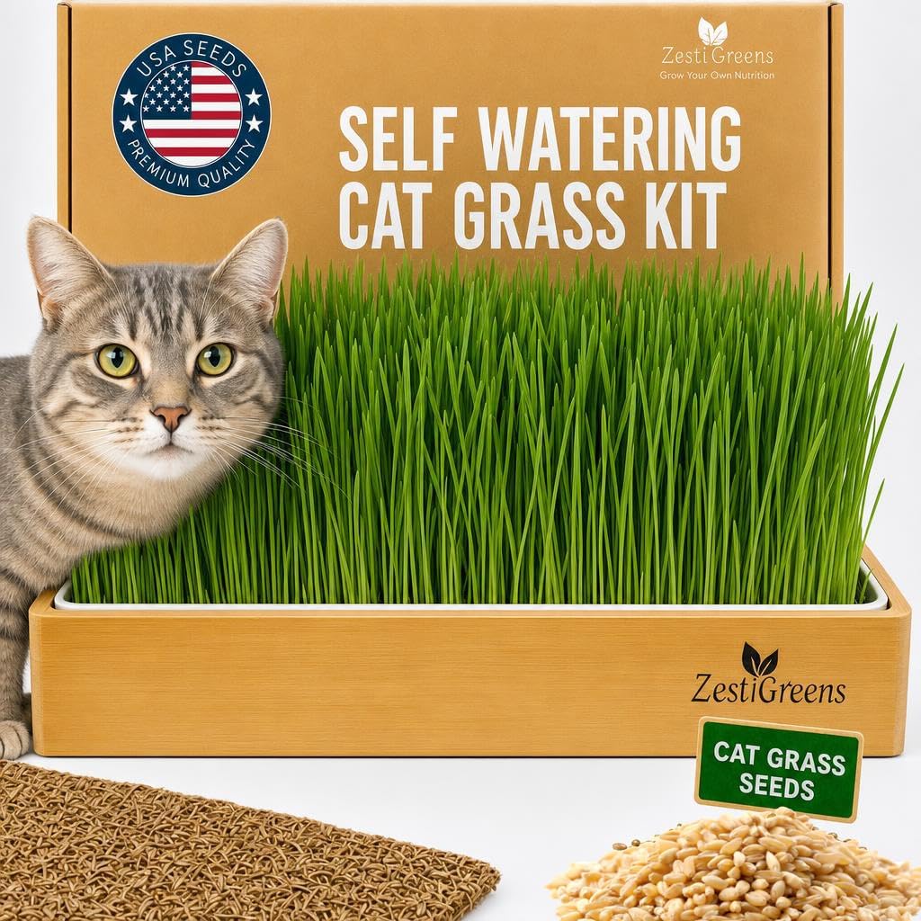 Self-watering cat grass growing kit